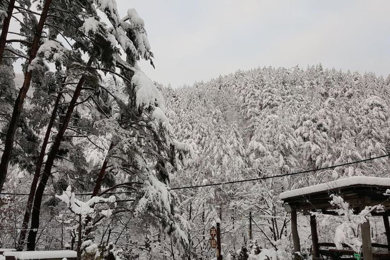 Blue Sky Milky Way Pension, Yangyang, South Korea