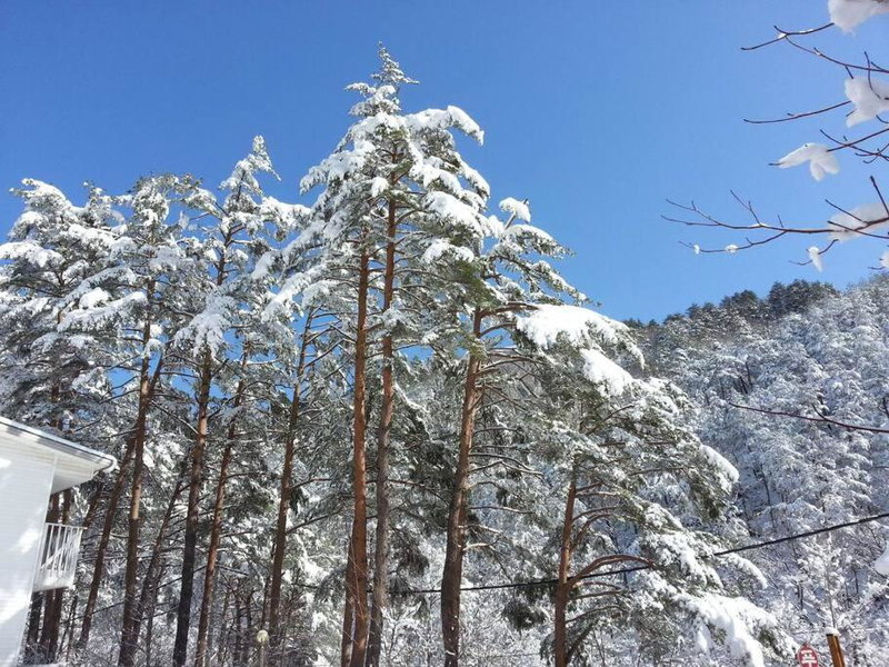 Blue Sky Milky Way Pension, Yangyang, South Korea