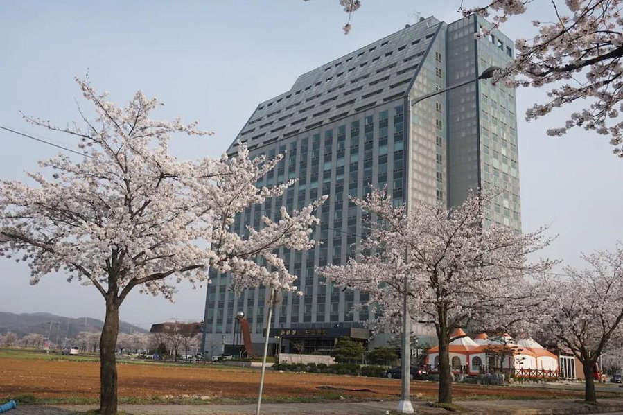 The WITT DOGO, Asan, South Korea