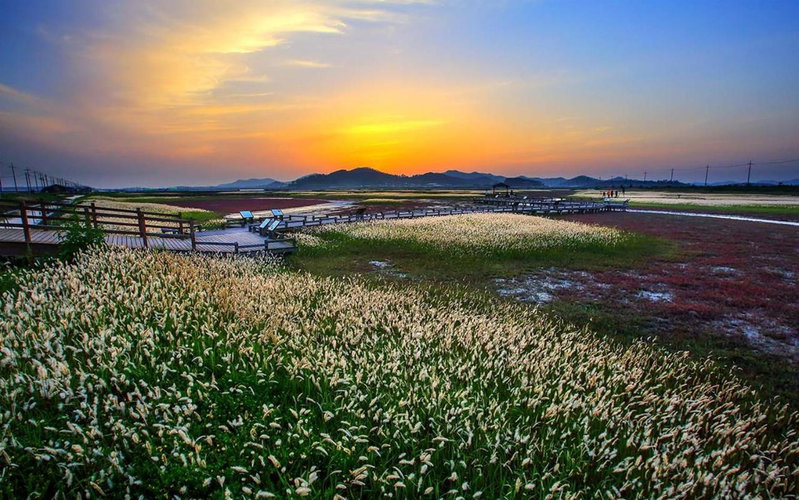 Eldorado Resort, Sinan, South Korea