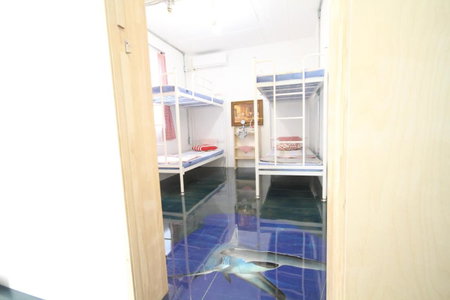 Time Travelers Party Hostel In Hongdae, Seoul, South Korea