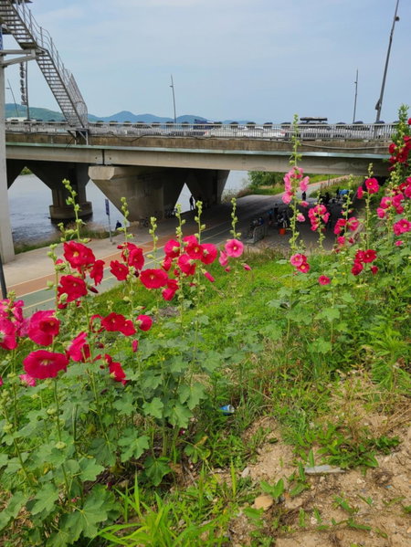 Chenal Motel, Daegu, South Korea