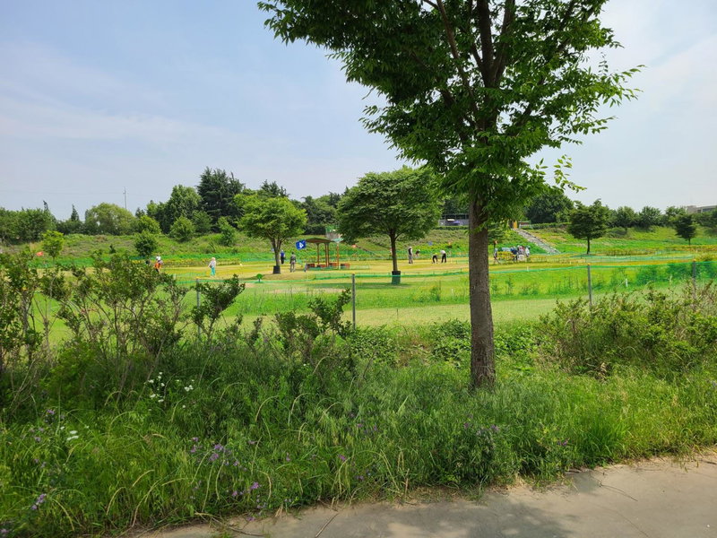 Chenal Motel, Daegu, South Korea