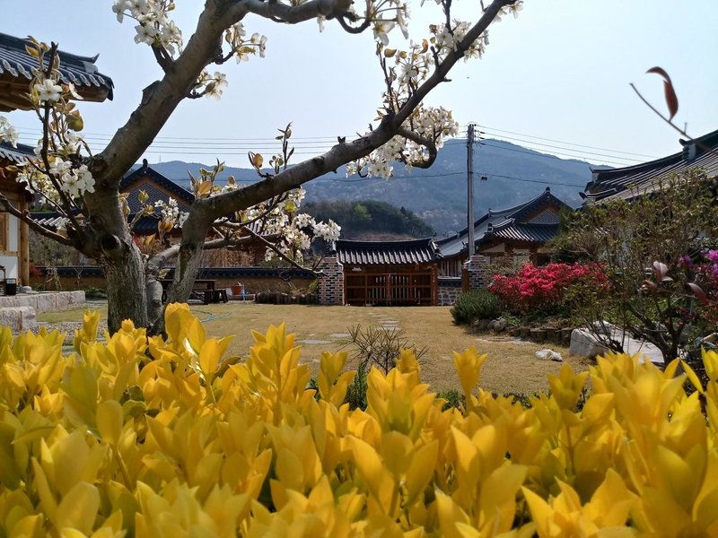 Mirinae Hanok Tradiational House, Gwangyang, South Korea