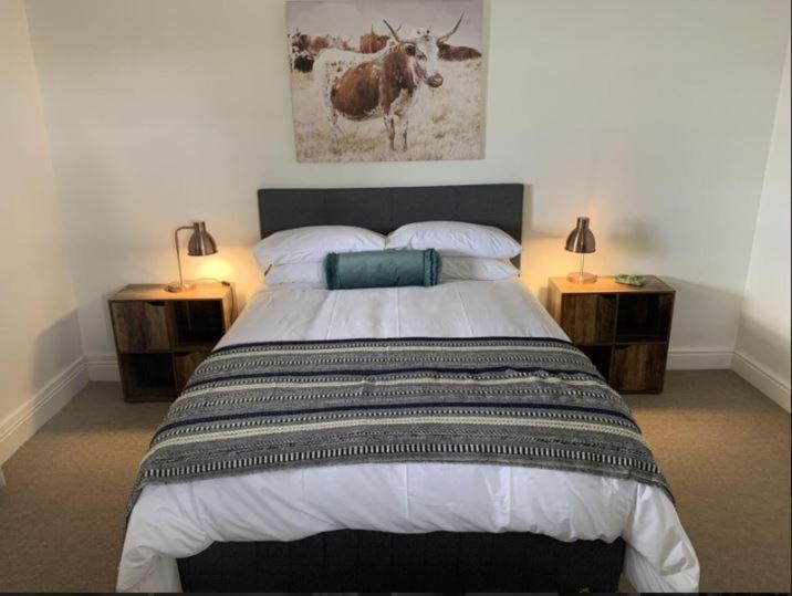 Jack of the Karoo, Sutherland, South Africa