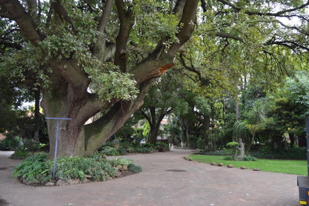 Airport Gardens Boutique Hotel, Boksburg, South Africa