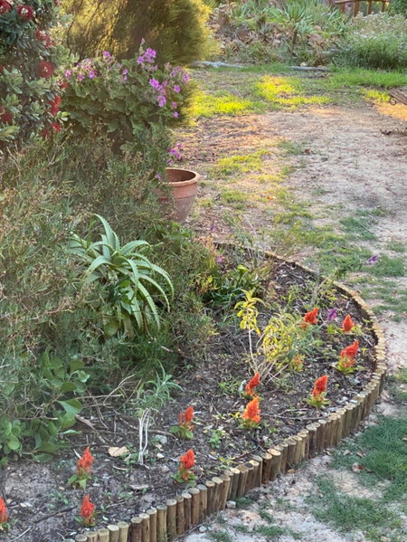 Wild Rose Country Lodge, Noordhoek, Sudáfrica