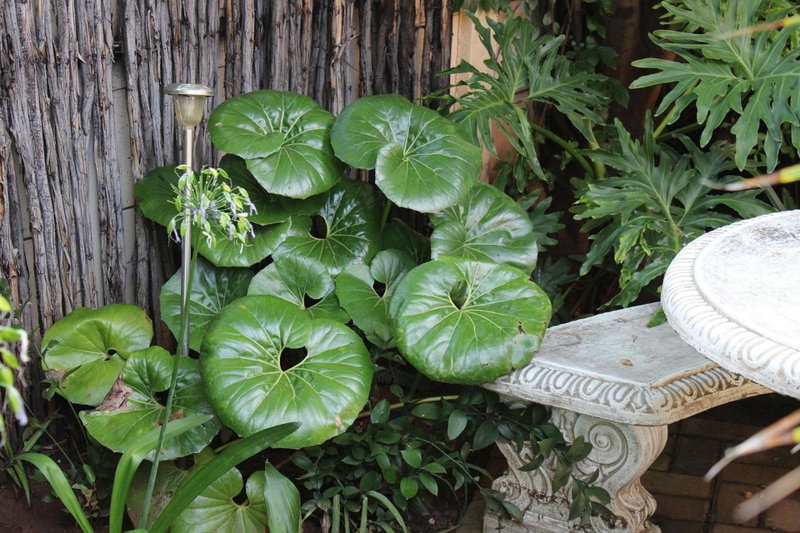 Ukarimu Guest House, Klerksdorp, South Africa