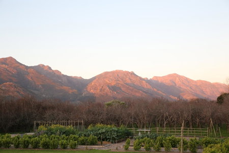 La Chataigne Wines & Guest Cottages, Franschhoek, South Africa