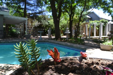 Hobbit Boutique Hotel, Bloemfontein, South Africa