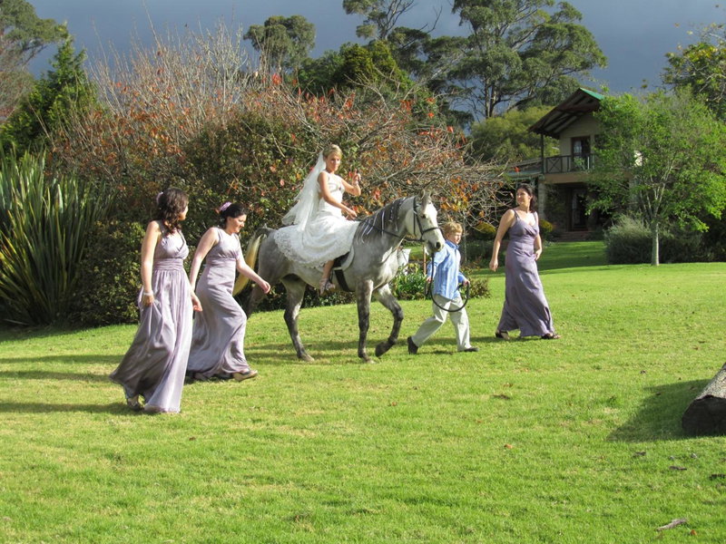 Halliwell Country Inn, Howick, South Africa
