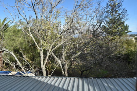 Almond Cottage Bed & Breakfast, Somerset West, Afrique du Sud
