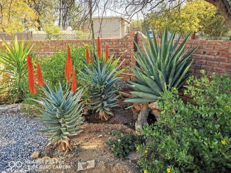 Akkerdam Bed and Breakfast, Calvinia, South Africa