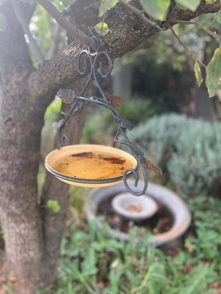 Three Thymes Inn, Tierpoort, South Africa