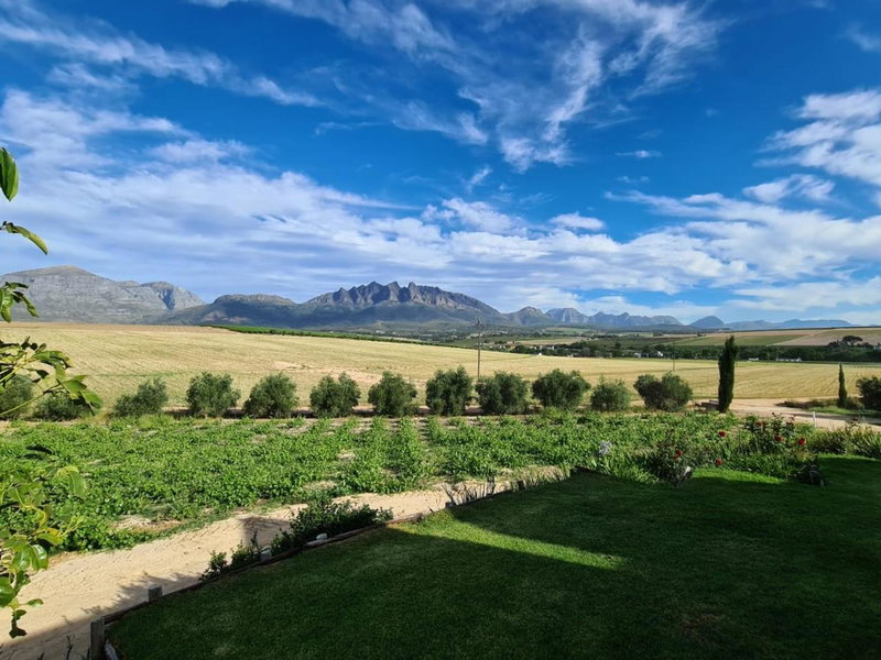 Vineyard Cottage at Bosman Wines, Wellington, South Africa