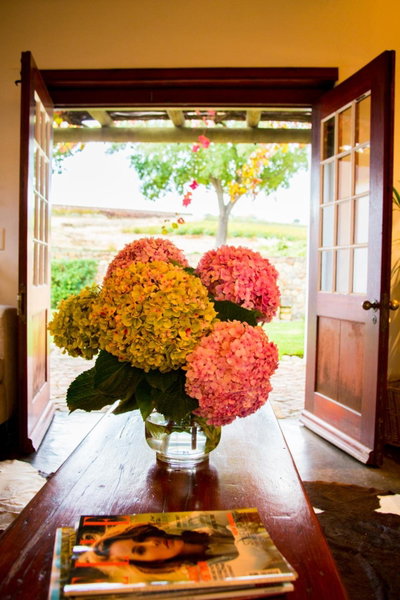 Vineyard Cottage at Bosman Wines, Wellington, South Africa