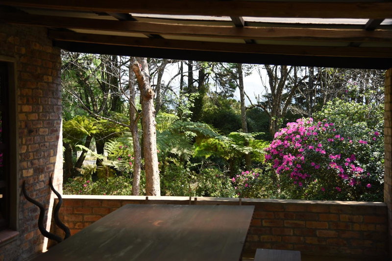 Molly's Cottage, Graskop, South Africa