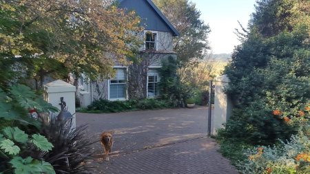 Little Fields Country House and Cottages, Howick, South Africa