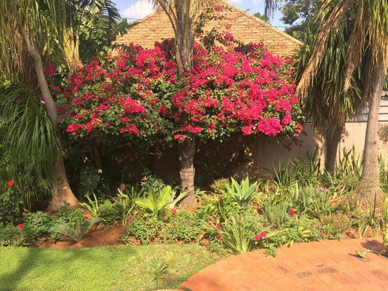 Meraki Upmarket Guesthouse, Rustenburg, Afrique du Sud