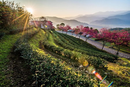 Yilan Yalu Good View Homestay, Datong, Taiwan
