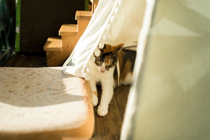 HELLO Make Yourself at Home, Kenting, Тайвань