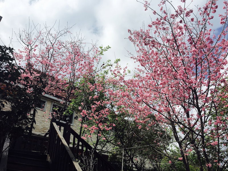 Spring Ground B&B, Ren'ai, Taiwan