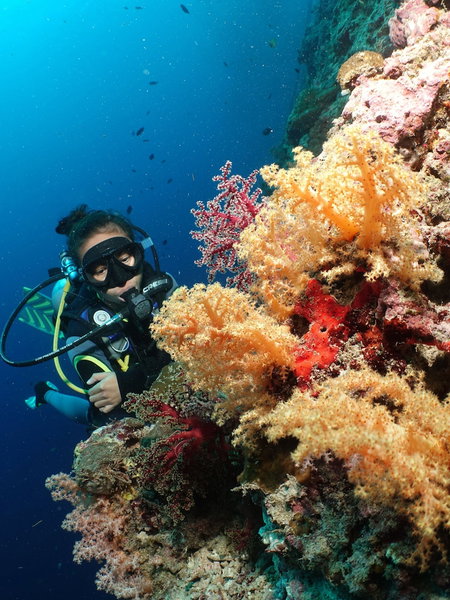 Blue Abyss Resort, Moalboal, Filipinas