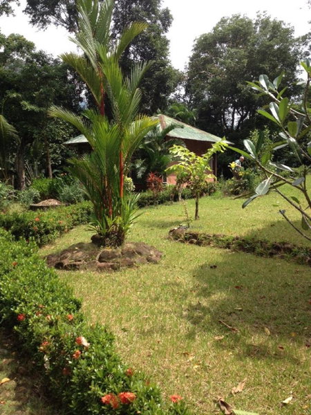 Bambua Nature Cottages, Sabang, Filipinas