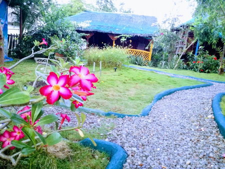 Moalboal Bamboo Guest House, Moalboal, Philippines