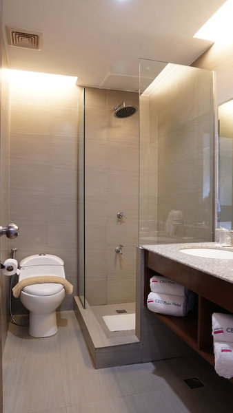 CBD Plaza Hotel, Naga, Philippines