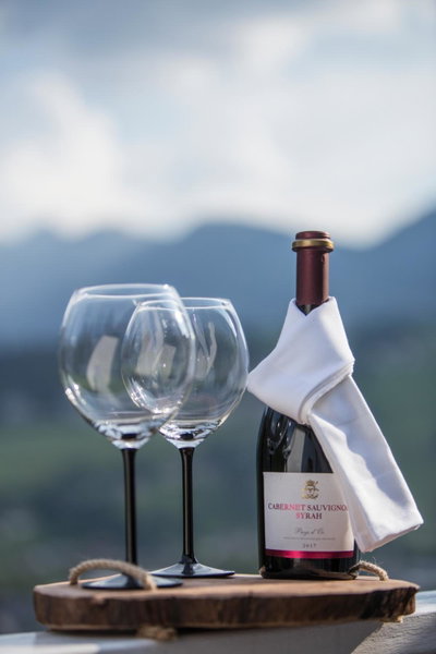 Winzig Apartment, Schladming, Austria