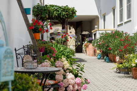 Pension Laubenhof, Mörbisch am See, Austria