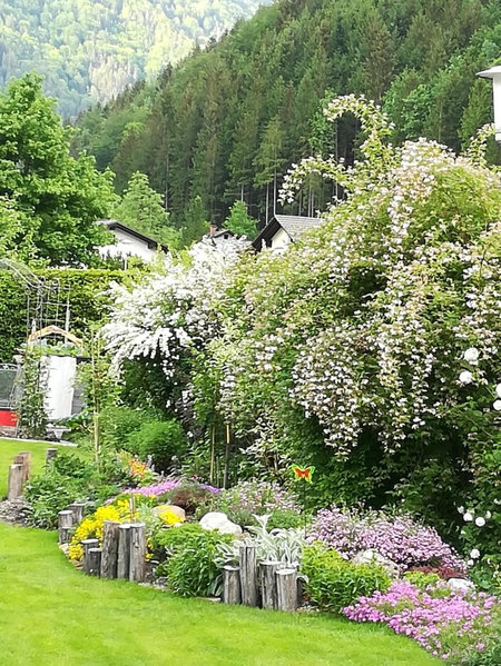 Appartment Haring, Hollenstein an der Ybbs, Austria
