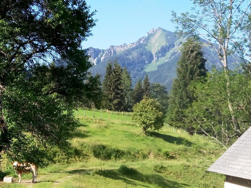 Appartment Haring, Hollenstein an der Ybbs, Austria