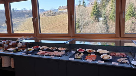 Landgut am Pößnitzberg, Leutschach, Austria