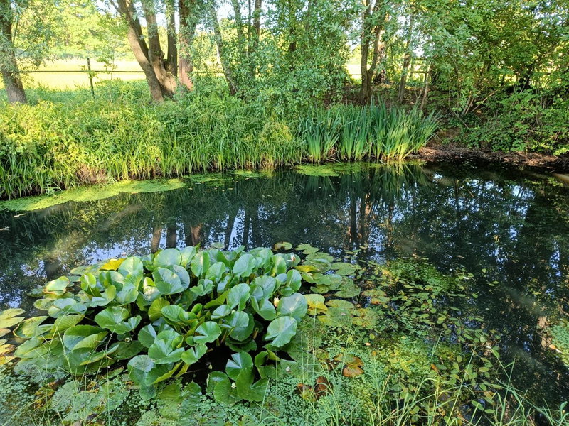 Natuurlijk leuk, Sterksel, The Netherlands