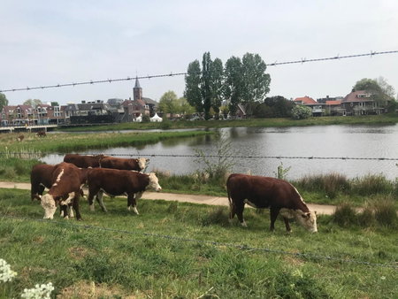 B&B Tussen Vecht en Veer, Hardenberg, The Netherlands
