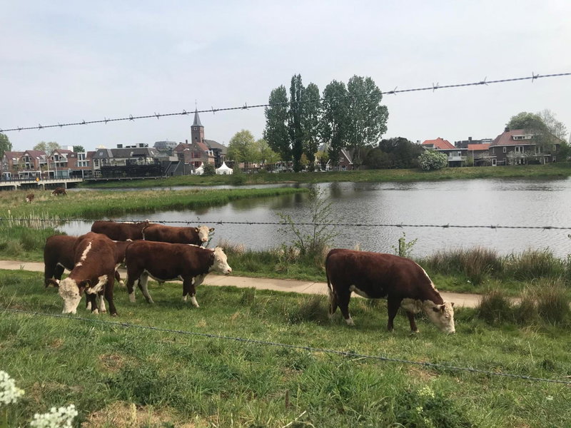 B&B Tussen Vecht en Veer, Hardenberg, The Netherlands