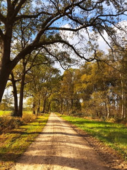 B&B De Scheersehoeve, Holthone, The Netherlands