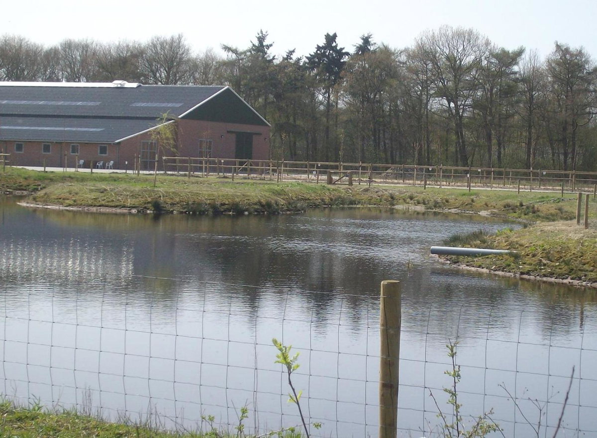 Horsetellerie Rheezerveen, The Netherlands