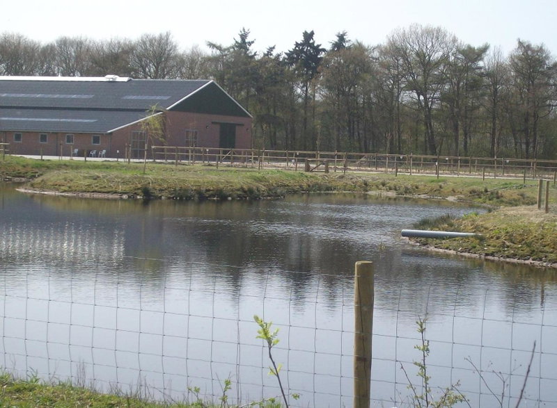 Horsetellerie Rheezerveen, Hardenberg, The Netherlands