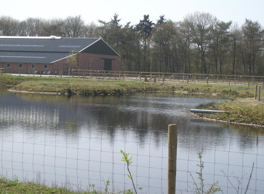 Horsetellerie Rheezerveen, Hardenberg, The Netherlands