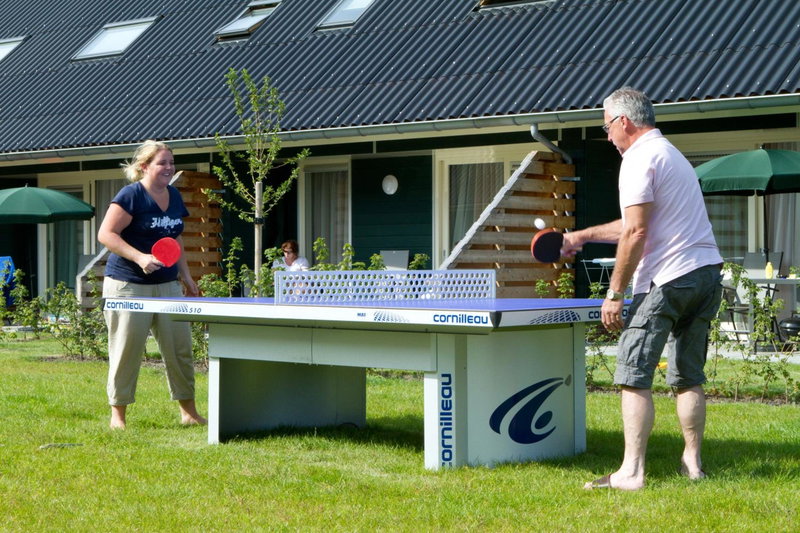 Horsetellerie Rheezerveen, Hardenberg, The Netherlands