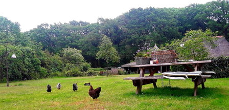 Bed & Breakfast Markelo, Markelo, The Netherlands