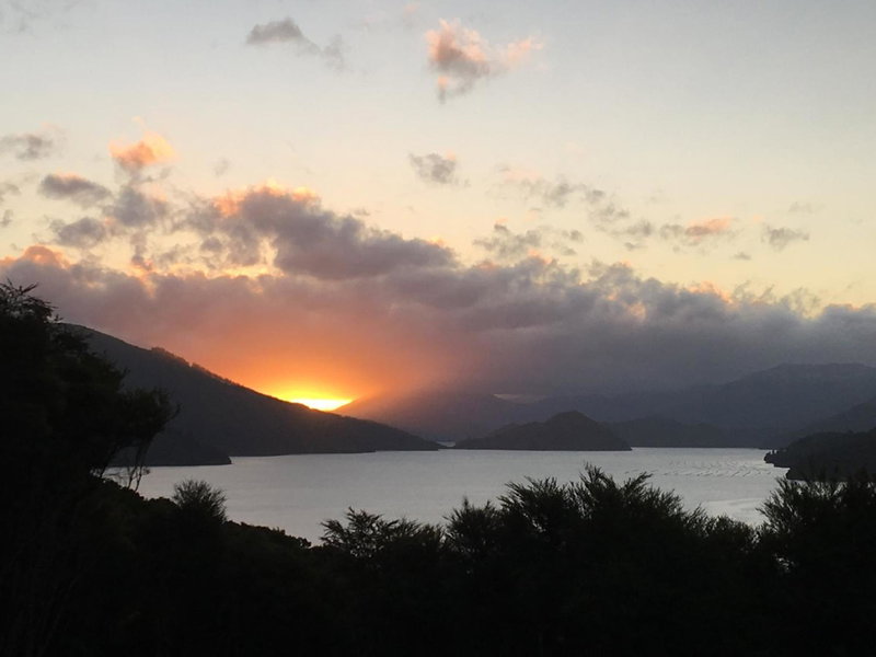 Ngahere Hou Glamping, Kenepuru Head, Neuseeland