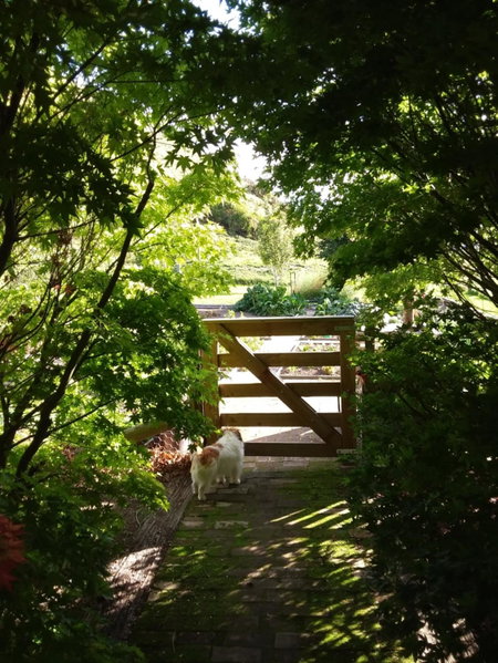 Hurunui Homestead Bed and Breakfast, Hawarden, New Zealand