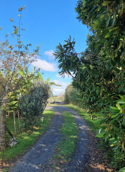 Bookabarn, Kerikeri, New Zealand