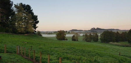 Waitomo Homestead Cabins, Waitomo Caves, New Zealand