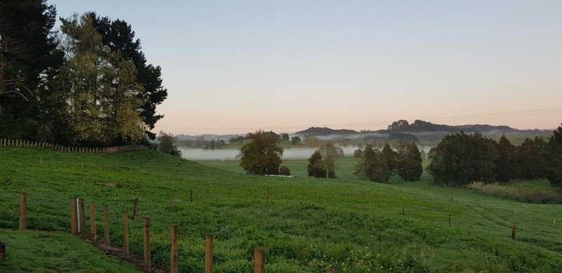 Waitomo Homestead Cabins, Waitomo Caves, New Zealand