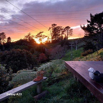 Cosy Country Cottage on a Sunny Hill, New Plymouth, New Zealand